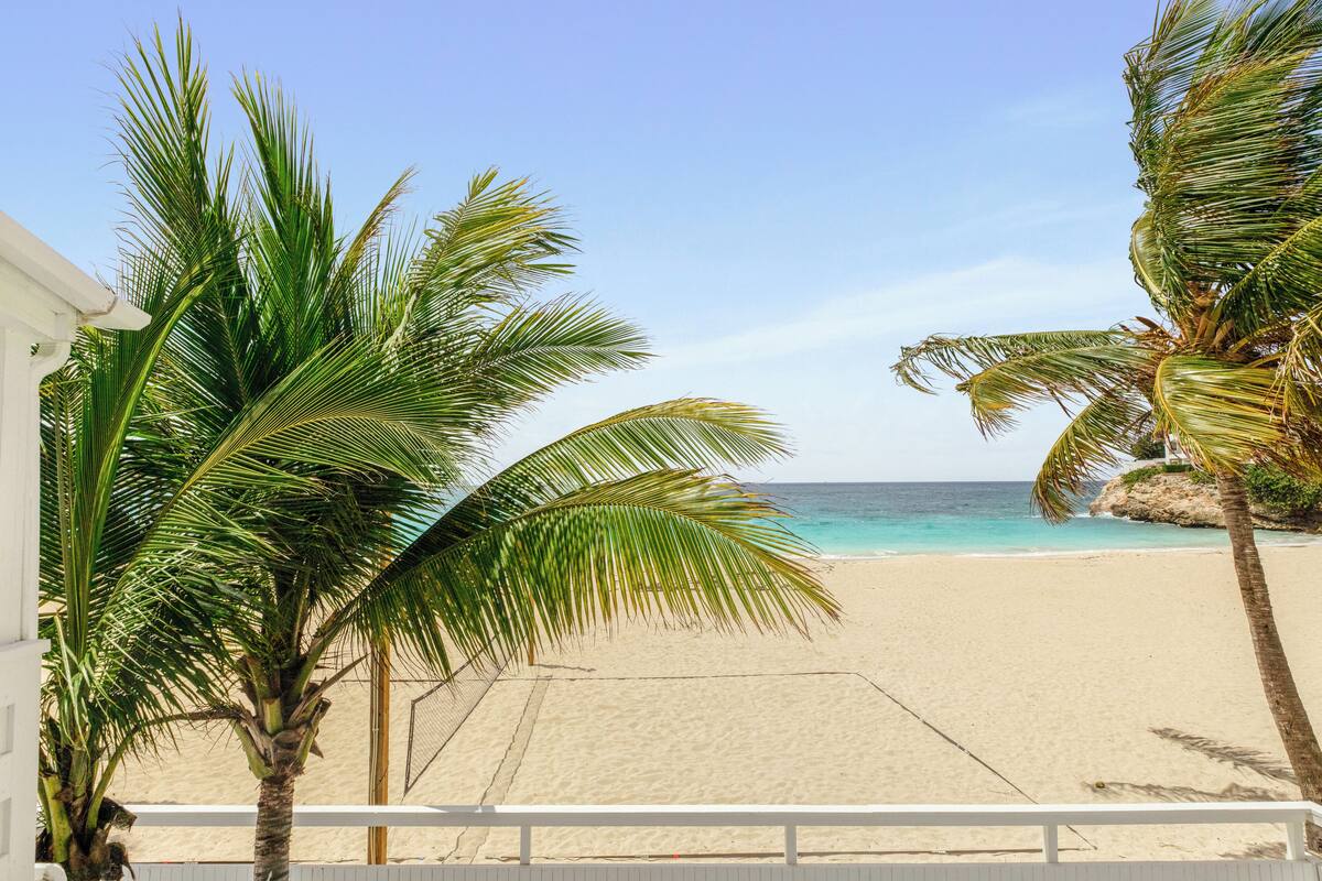 A beach with palm trees and a clear view of the ocean.