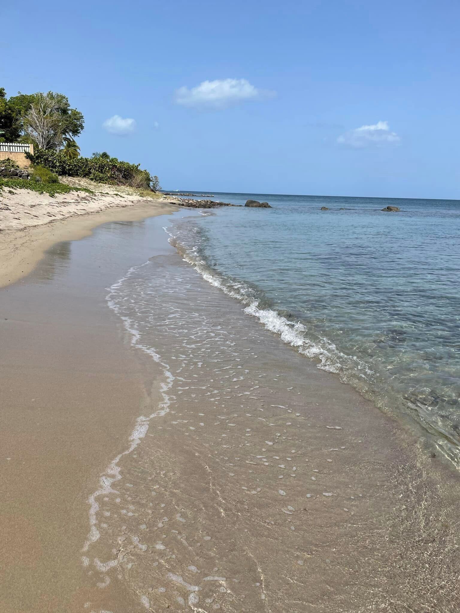 Tumbonas y toallas de playa