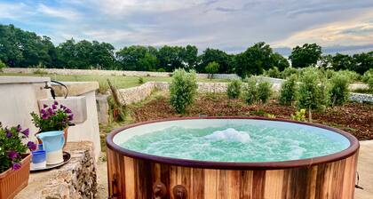 In old farmhouse in Apulia, large room with kitchen, bathroom, garden