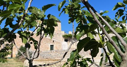 In old farmhouse in Apulia, large room with kitchen, bathroom, garden