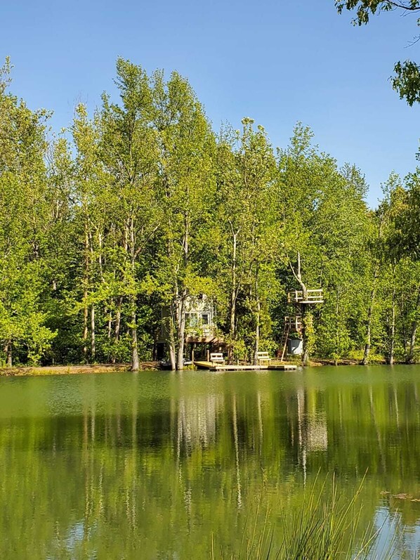 A lakeside cabin with a dock, surrounded by dense trees and reflecting on the calm water.