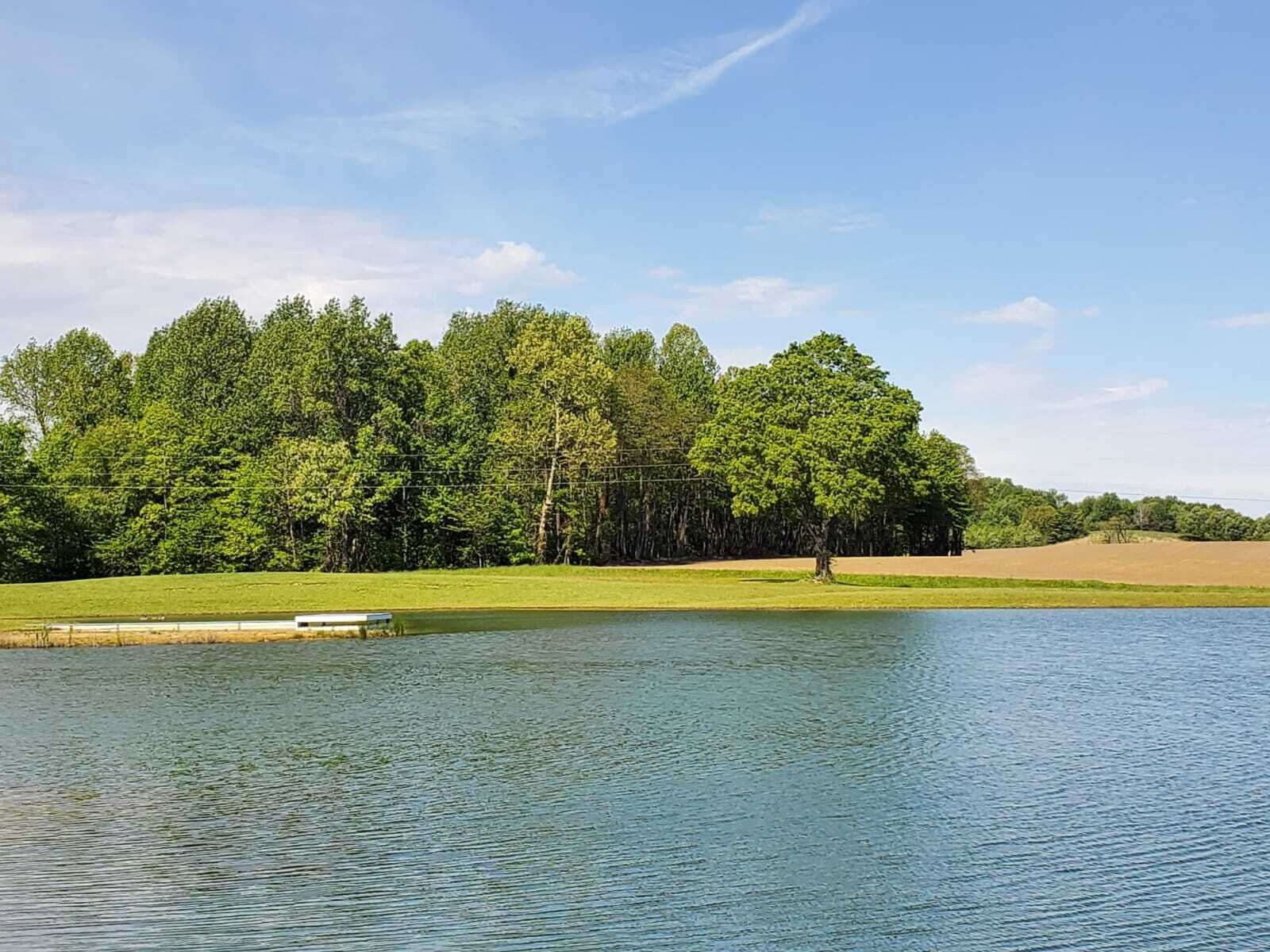Une vue paisible sur un lac, avec un quai, une végétation luxuriante et un ciel dégagé.