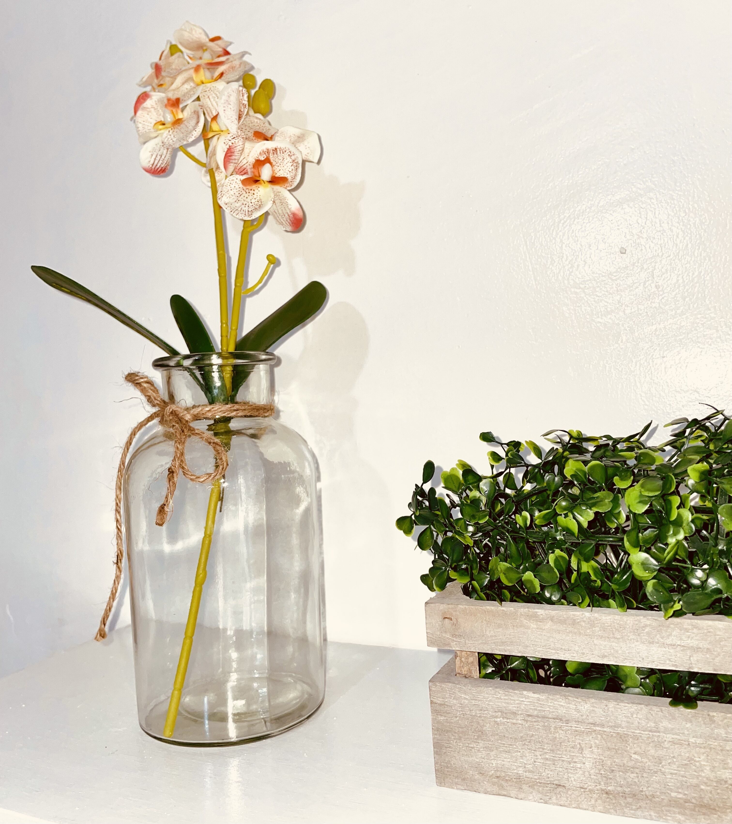 Photo - Amancio's Balai - Near the Airport, City Center!