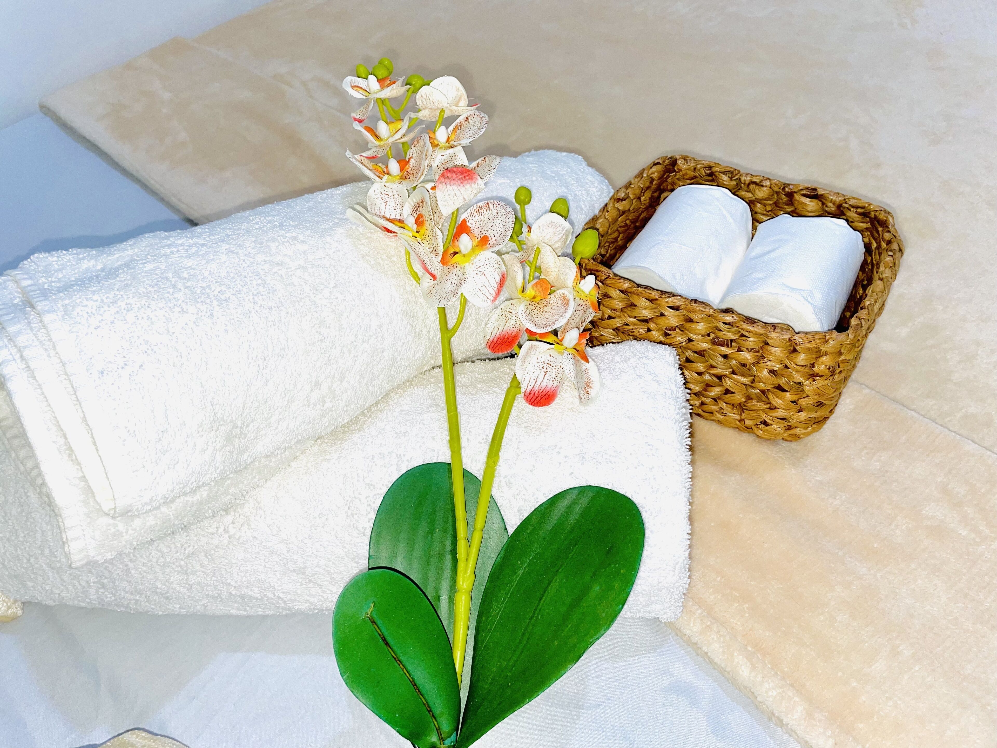 Photo - Amancio's Balai - Near the Airport, City Center!