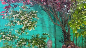 En Buddha-staty i en terrakottakruka, omgiven av frodig grönska och blommande växter.