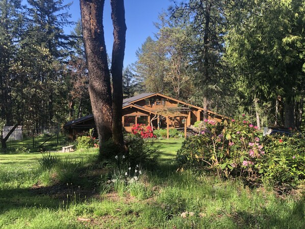 A rustic cabin with a wooden exterior, surrounded by lush greenery and flowering plants. - Misty Haven Main House (Victoria)