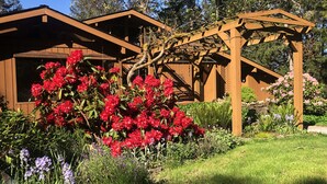 Una cabaña de madera con un porche cubierto y un jardín lleno de flores rojas.