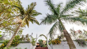 Garden view - Afro Park Hotel and Health Club (Kampala)