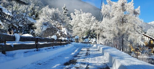 Chalet "Les Aubarettes" face à la montée de l'alpes d'Huez