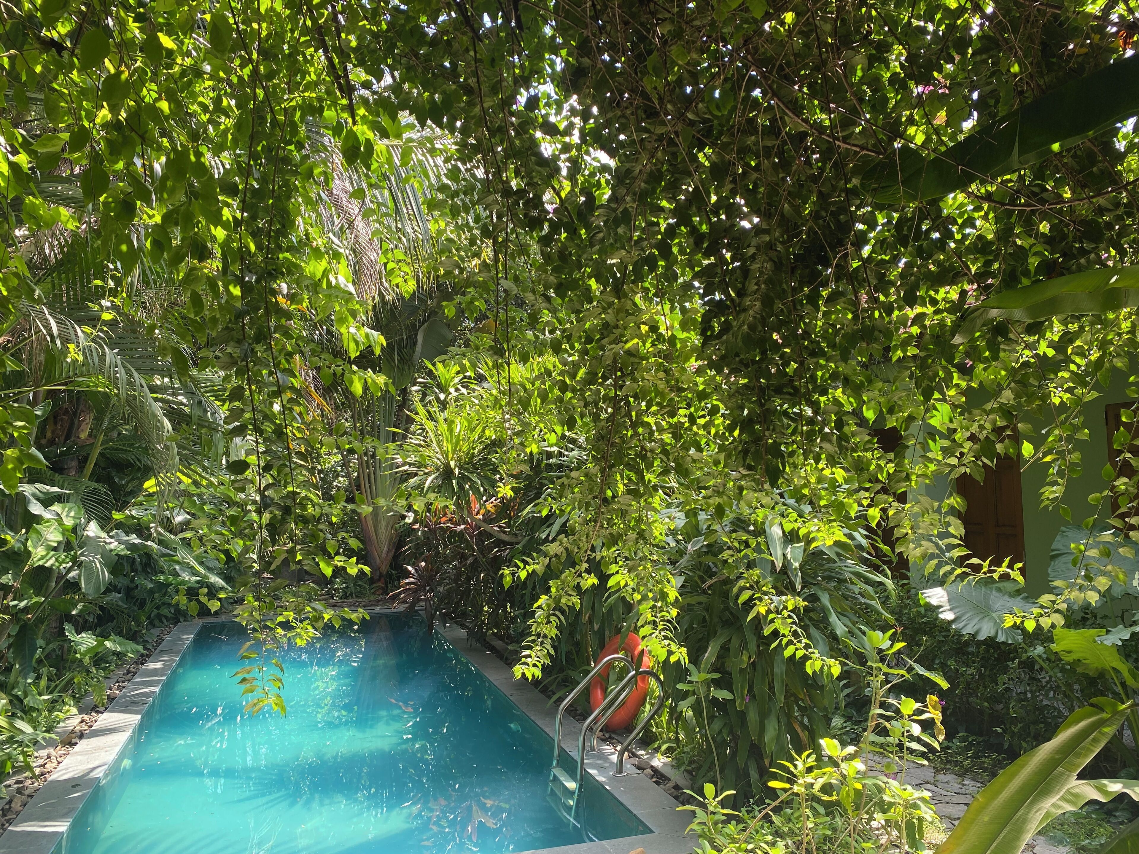A rectangular pool surrounded by dense foliage and a wooden structure in the background.