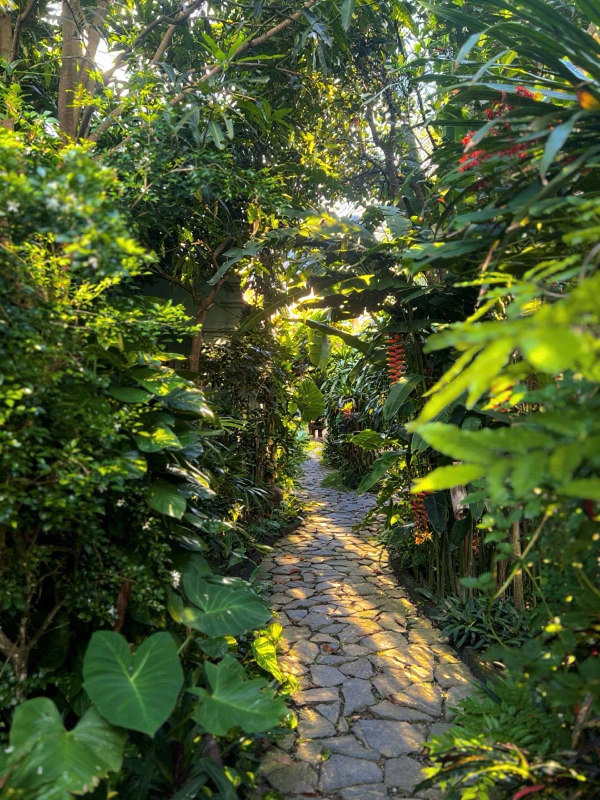 A stone pathway flanked by lush greenery and tropical plants.