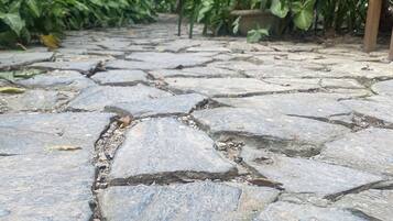 A stone pathway surrounded by lush greenery.