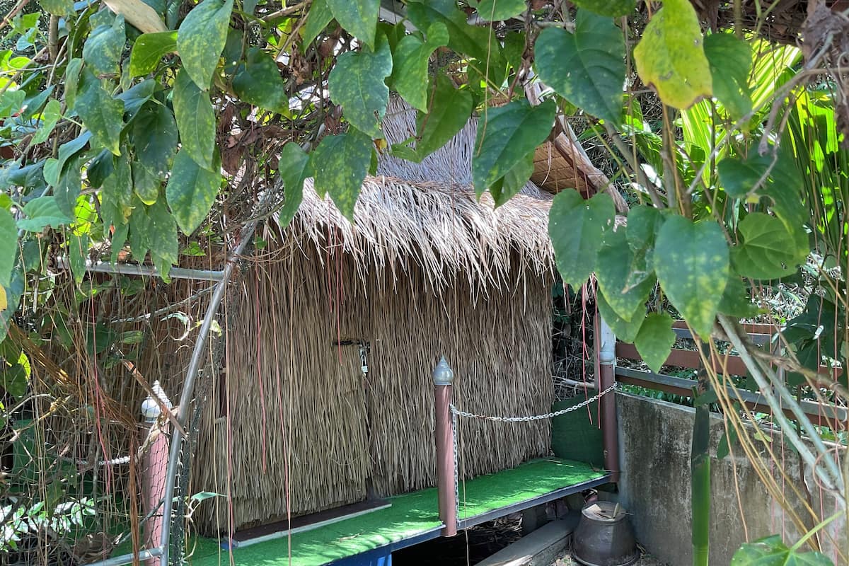 Hut Canal View (Fan)