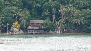 A house with a red roof and a small porch, surrounded by palm trees and a body of water.