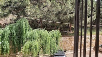 Traditional Apartment | Terrace/patio