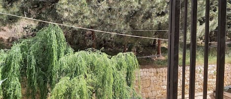 Traditional Apartment | Terrace/patio