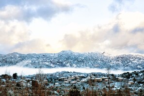 Settled among trees, this charming village offers a serene escape amidst snow-covered mountains.