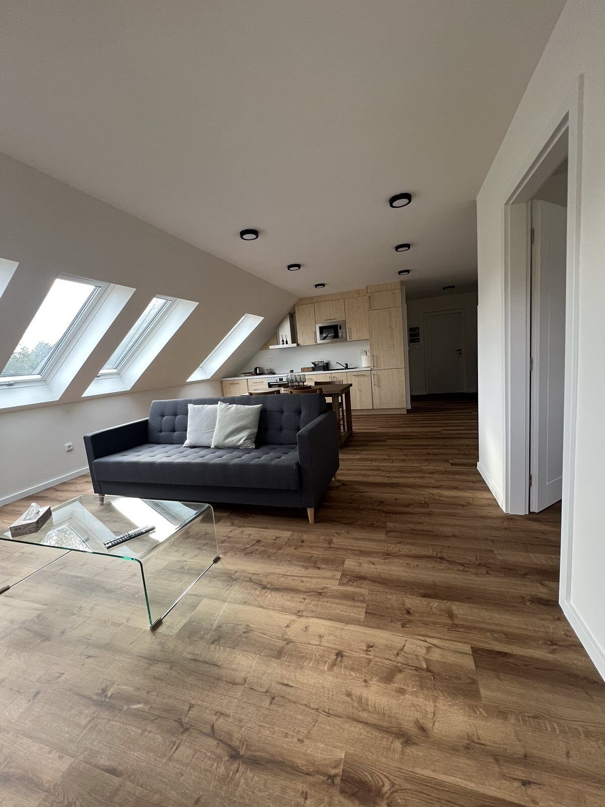 Deluxe Apartment | Living area