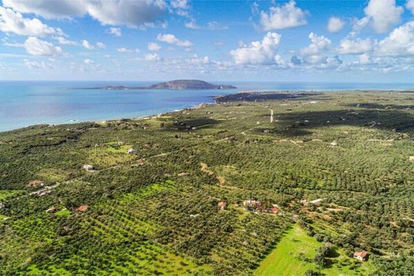 An aerial view of a coastal area with olive groves and scattered buildings.