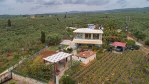 A house with a large garden, solar panels, and a view of the surrounding landscape. - Χαλαρώστε σε ένα ιδιωτικό μέρος 1χλμ απ'τη θάλασσα (Gargalianoi)