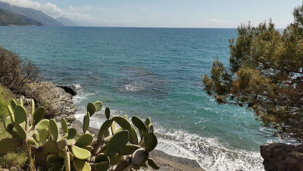 Et kystlandskab med kig til havet, stenet kystlinje og vegetation.