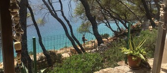 Beachfront Apar.in a Pine Forest With Covered Terrace of 50 m2 and Large Jacuzzi