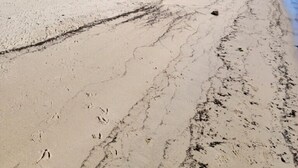 A sandy beach with footprints and a wooden pier extending into the water. - Boat House Studio - Water Front Pets Wifi Smart Tv Apts by RedAwning (Norfolk)