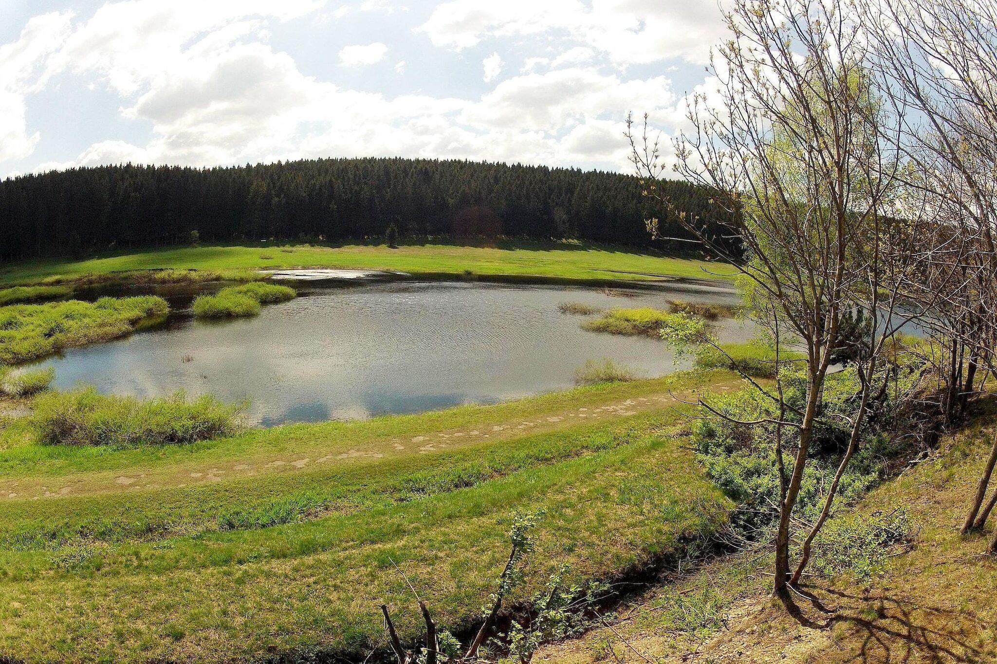 Un paisaje natural con un estanque, zonas verdes y un bosque al fondo.