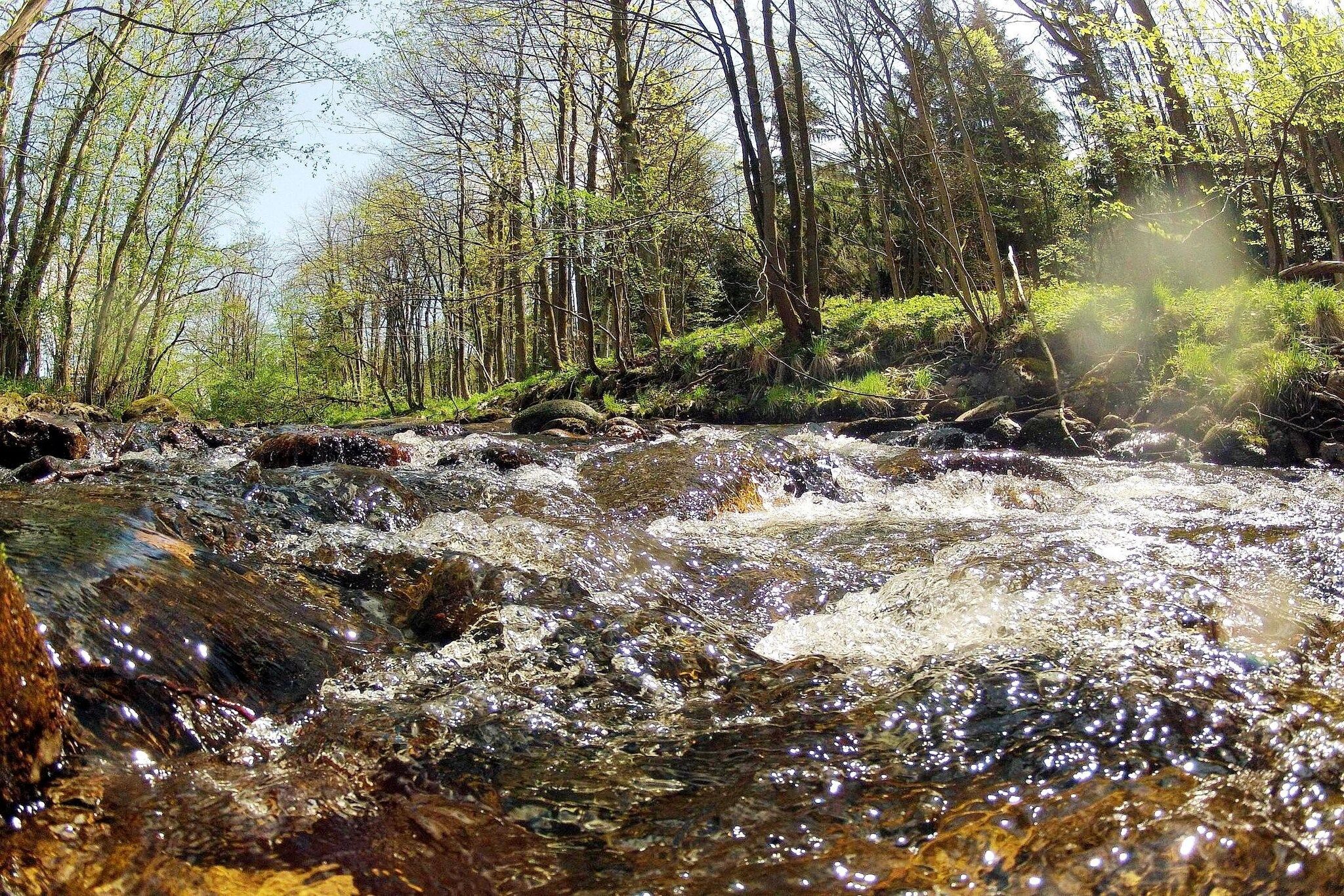 Direkte Umgebung [Sommer] (<1 km)