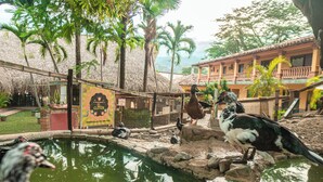 A bird enclosure with a pond, surrounded by trees and a building with a balcony. - Hotel Porton del Sol  (Santa Fe de Antioquia)