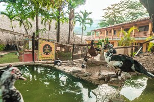 Un aviario con un estanque, rodeado de árboles y un edificio con balcón.
