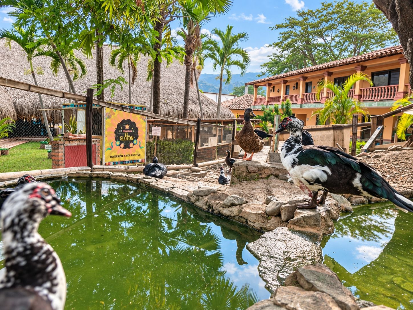 Un santuario de aves con un estanque, diversas aves y un edificio con un cartel.