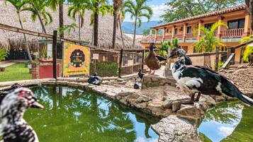 Un santuario de aves con un estanque, diversas aves y un edificio con un cartel.