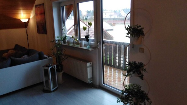 Una sala de estar con un sofá, un radiador y una ventana con plantas.