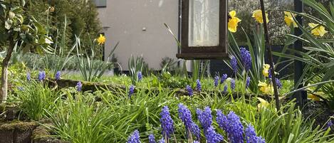 المنطقة المحيطة بالمنشأة