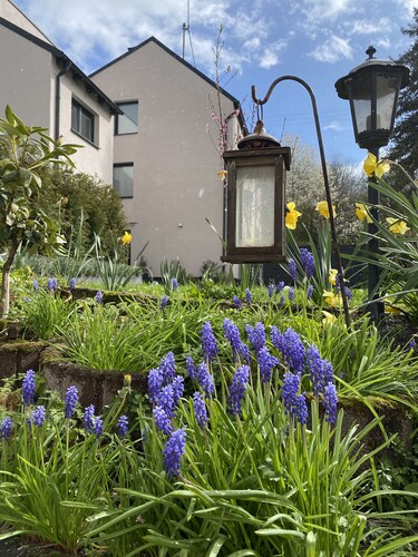 Sonnenlay Lounge - Das Haus