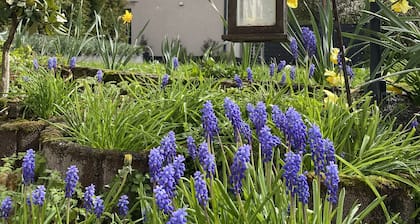 Sonnenlay Lounge - Das Haus