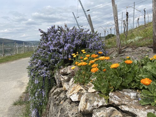 Sonnenlay Lounge - Das Haus