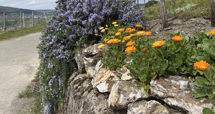 Sonnenlay Lounge - Das Haus