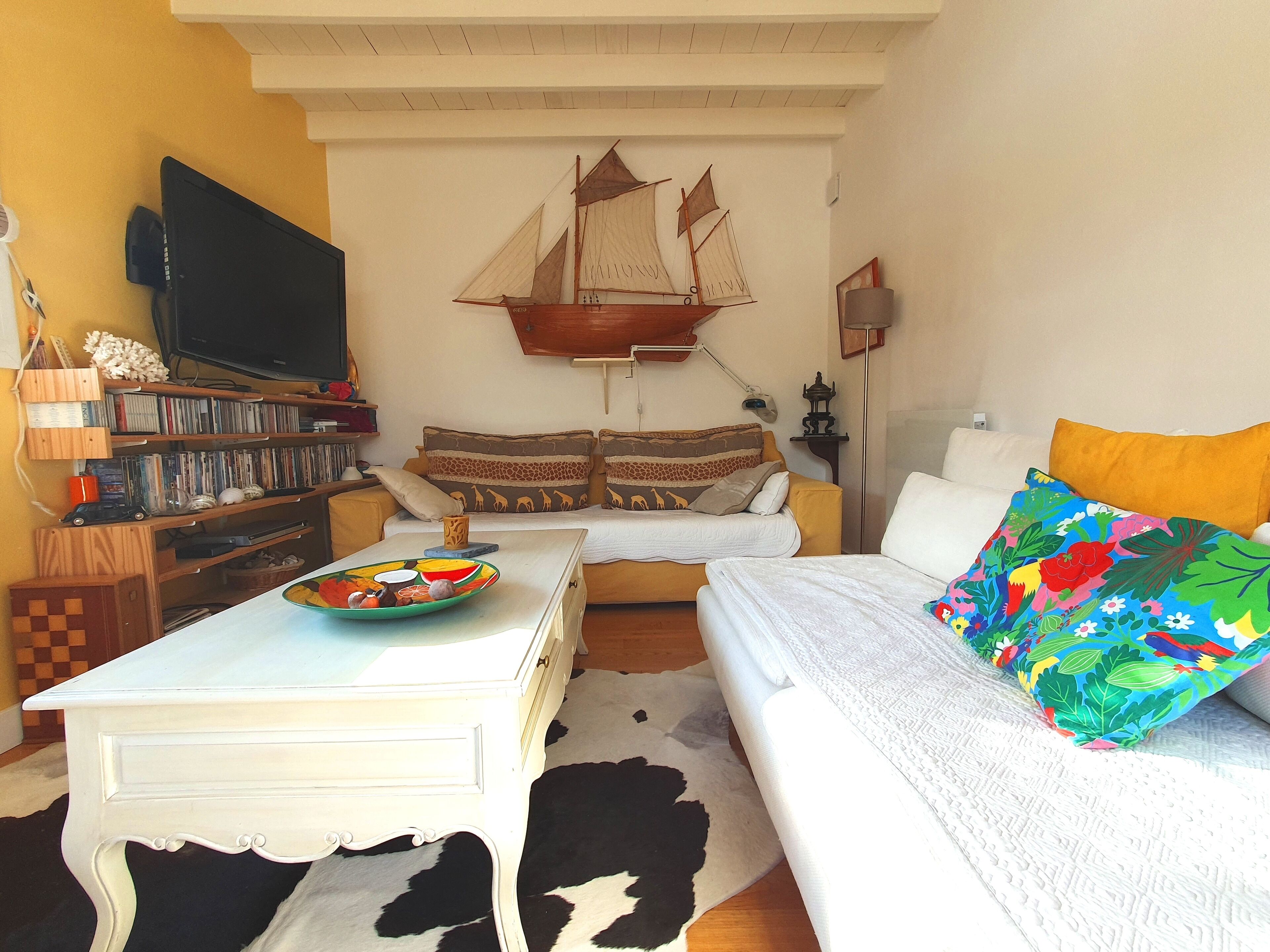 TV, DVD player, ping pong, books