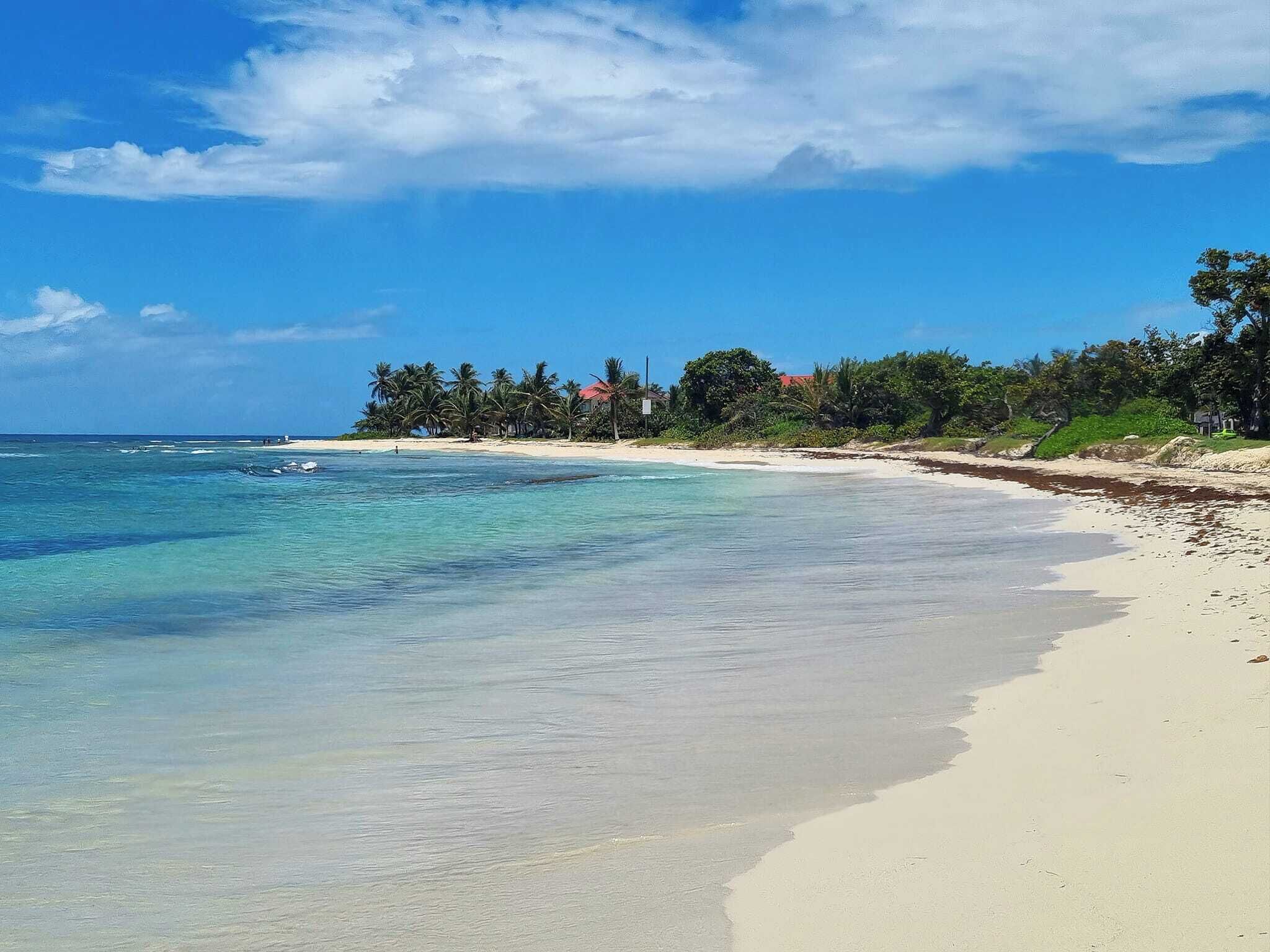 A beach with clear turquoise water, white sand, and a row of palm trees.