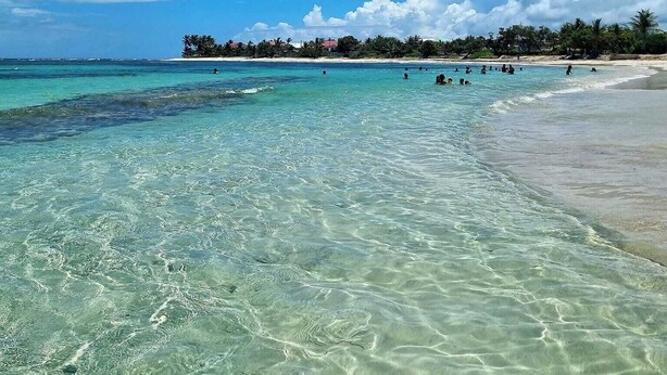 Une plage à l’eau turquoise et limpide, un rivage sablonneux et une ligne d’arbres à l’horizon.