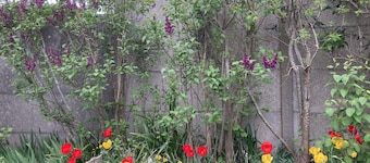 Maison Avec Grand Jardin Clos Exposé Sud, à 5 min du Centre Ville!