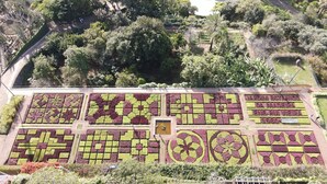 Ett flygbildsbild av en botanisk trädgård med olika blomsterrabatter och en cirkelformad vattendekoration.