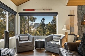 TV, fireplace, books