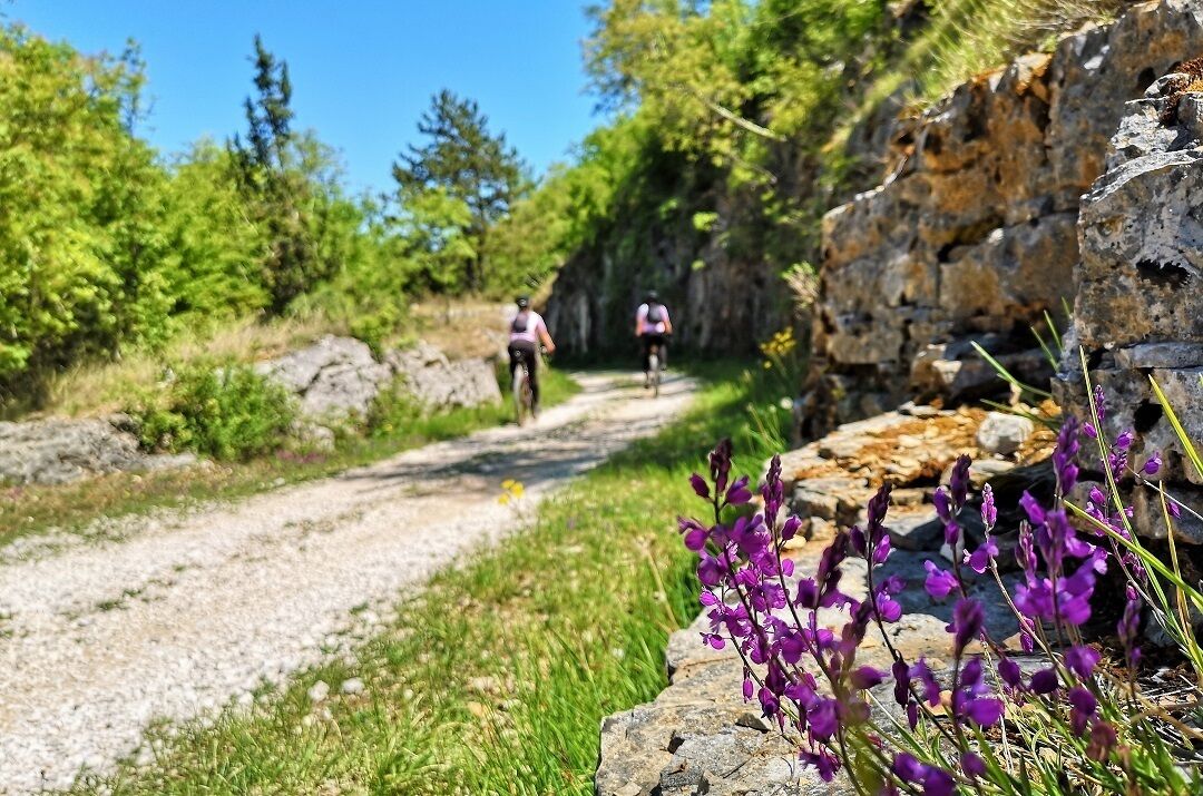 Um caminho de cascalho com ciclistas, cercado por vegetação e pedras.