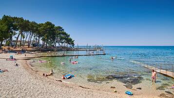 Lettini da mare