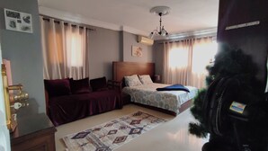 Une chambre à coucher avec un lit, un canapé, un tapis et un radiateur.