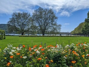 ا�لمنطقة المحيطة بالمنشأة