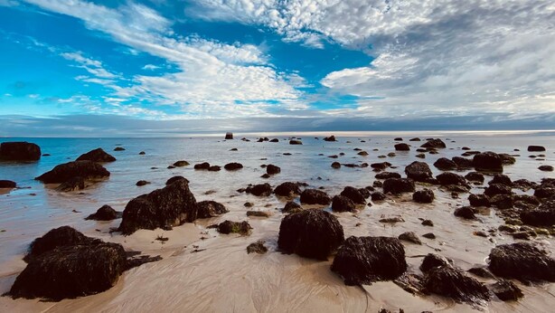 A beach with scattered rocks and a clear sky.